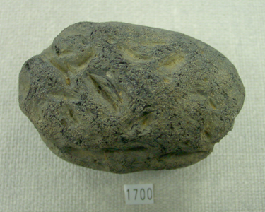 サヌカイト原石