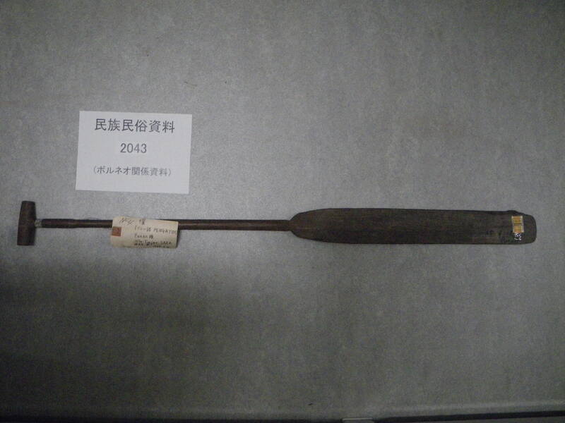 櫂