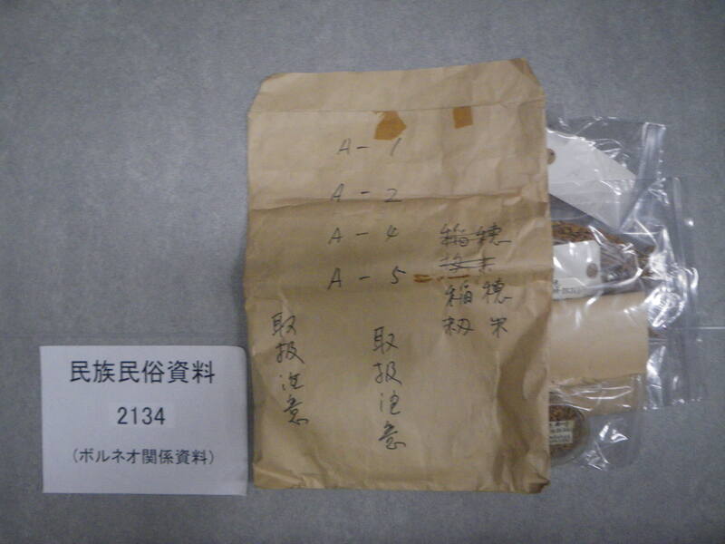稲穂　籾米　