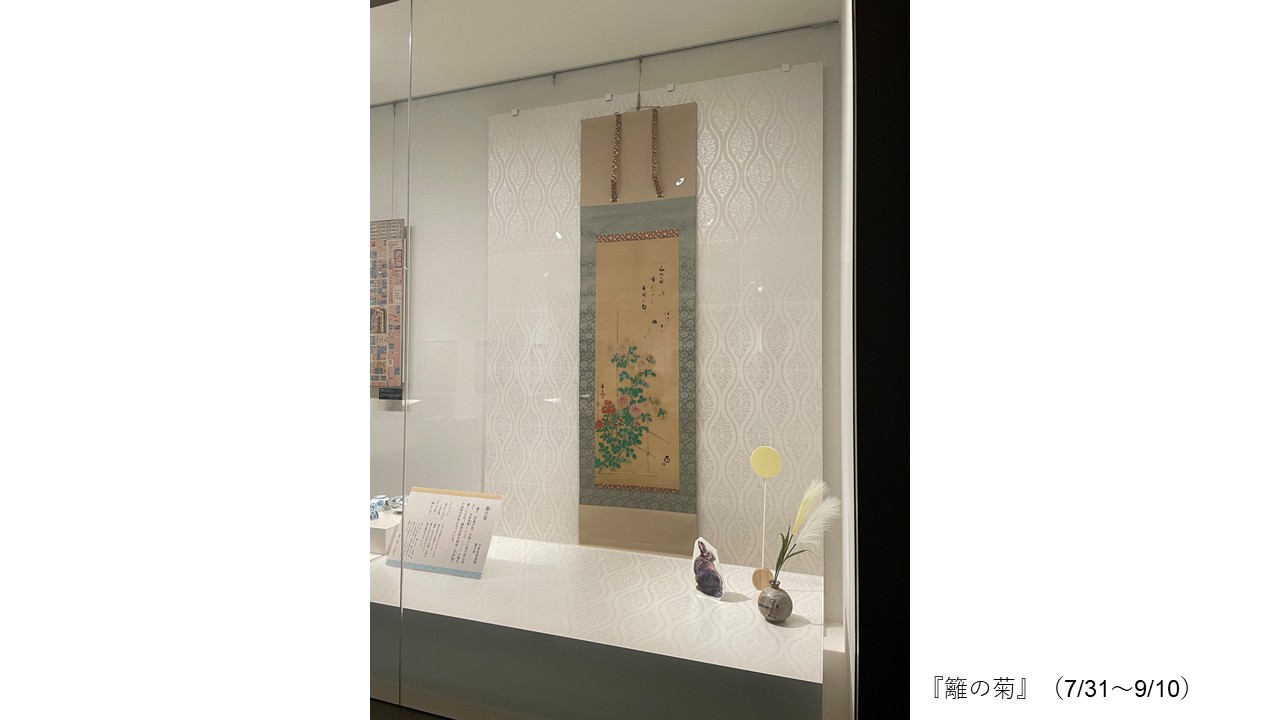 『籬の菊』（7/31～9/10）